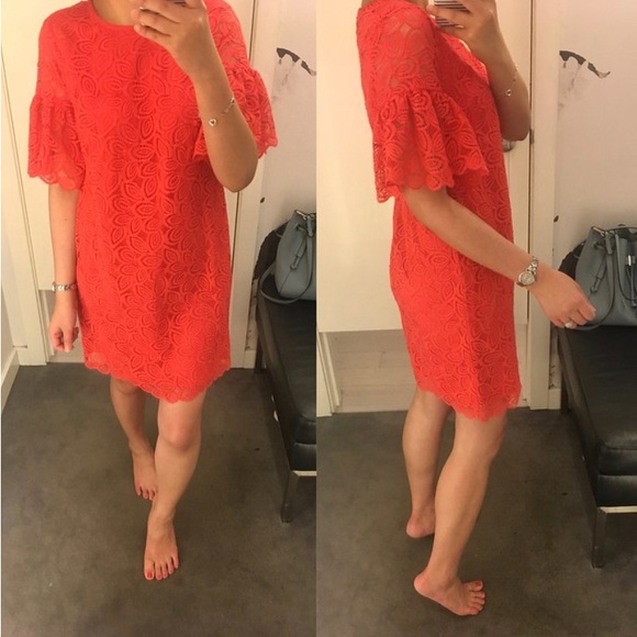 Ann Taylor Leave Lace Flare Shift Dress in size 0P - Picture 11 of 11